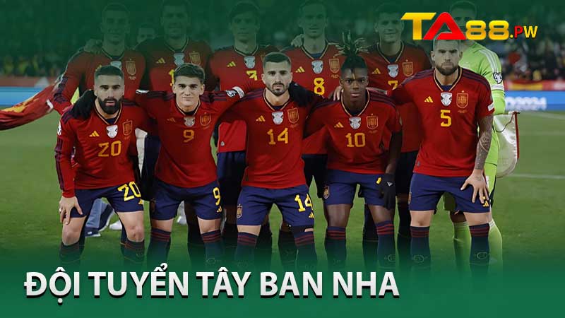 đội tuyển Tây Ban Nha